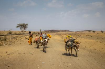 Ethiopia movement